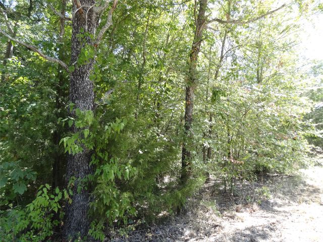Lot 113 Westwood Drive, Trinidad, TX 75163