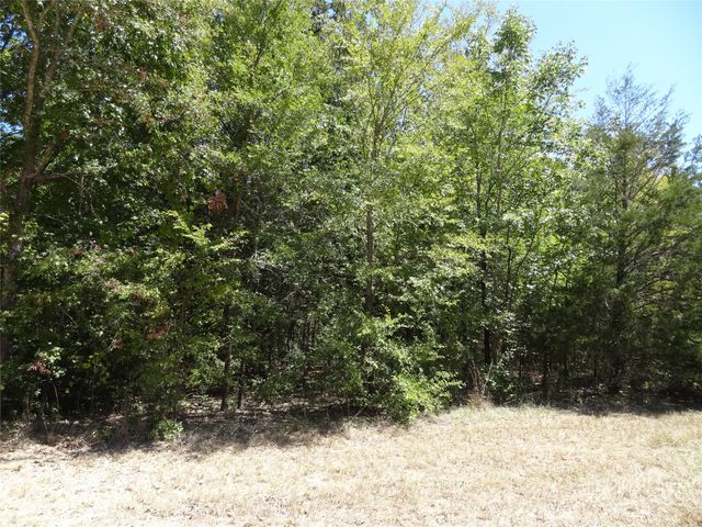 Lot 113 Westwood Drive, Trinidad, TX 75163