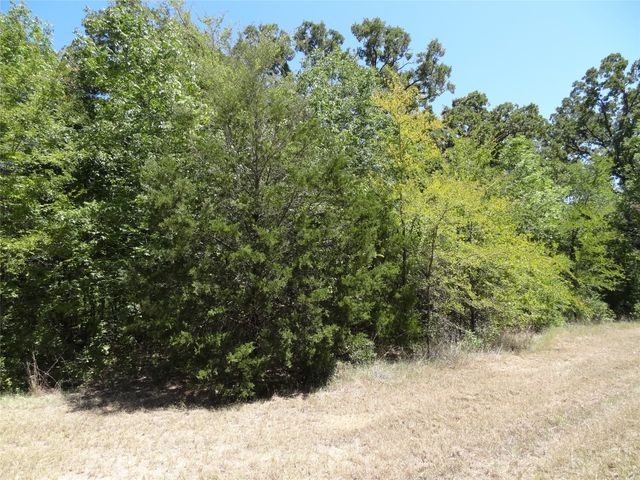 Lot 113 Westwood Drive, Trinidad, TX 75163