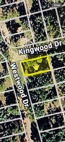 Lot 113 Westwood Drive, Trinidad, TX 75163