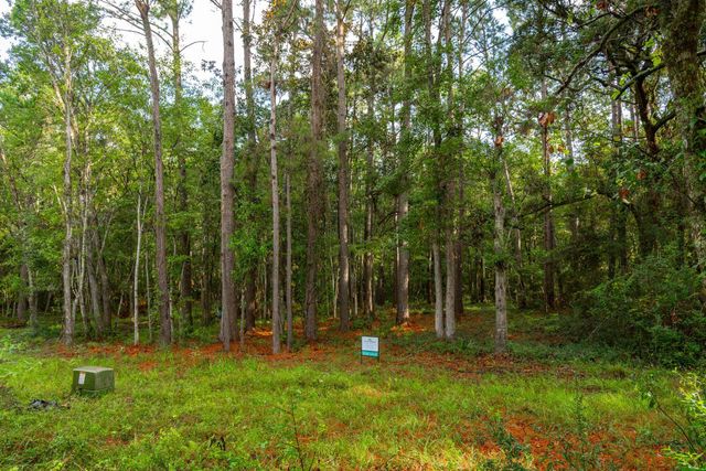 736 Wilson Cemetery Road, Awendaw, SC 29429