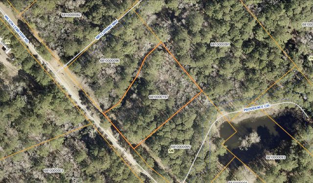 736 Wilson Cemetery Road, Awendaw, SC 29429