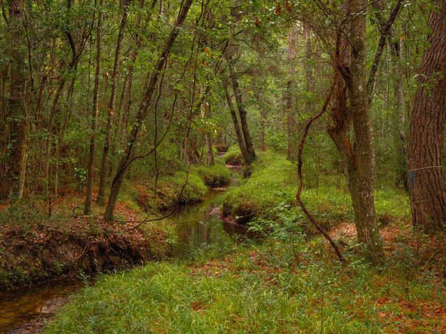 736 Wilson Cemetery Road, Awendaw, SC 29429