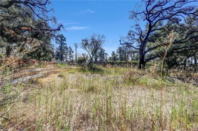 1085 Rubio, Altadena, CA 91001