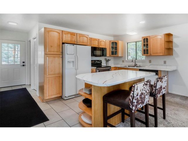 11744 S Stallion Dr, Pine, CO 80470
