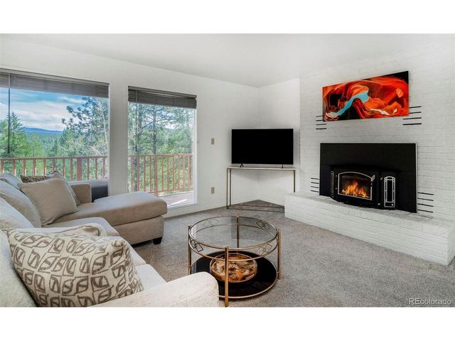 11744 S Stallion Dr, Pine, CO 80470