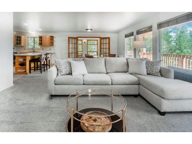 11744 S Stallion Dr, Pine, CO 80470