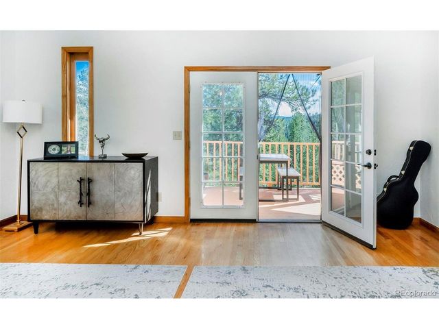 11744 S Stallion Dr, Pine, CO 80470