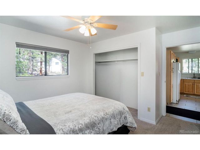 11744 S Stallion Dr, Pine, CO 80470