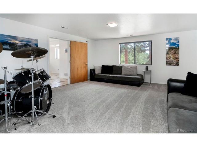 11744 S Stallion Dr, Pine, CO 80470