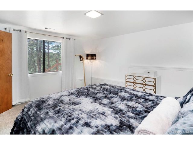 11744 S Stallion Dr, Pine, CO 80470