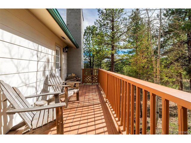 11744 S Stallion Dr, Pine, CO 80470
