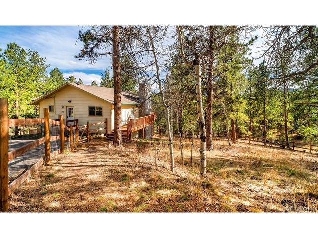 11744 S Stallion Dr, Pine, CO 80470