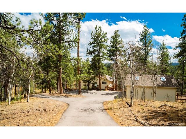 11744 S Stallion Dr, Pine, CO 80470