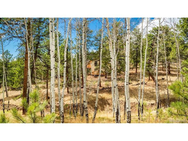 11744 S Stallion Dr, Pine, CO 80470