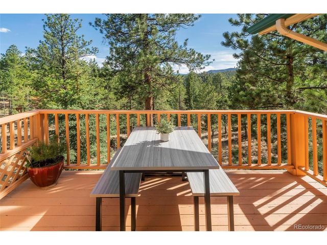 11744 S Stallion Dr, Pine, CO 80470