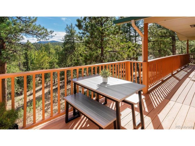 11744 S Stallion Dr, Pine, CO 80470