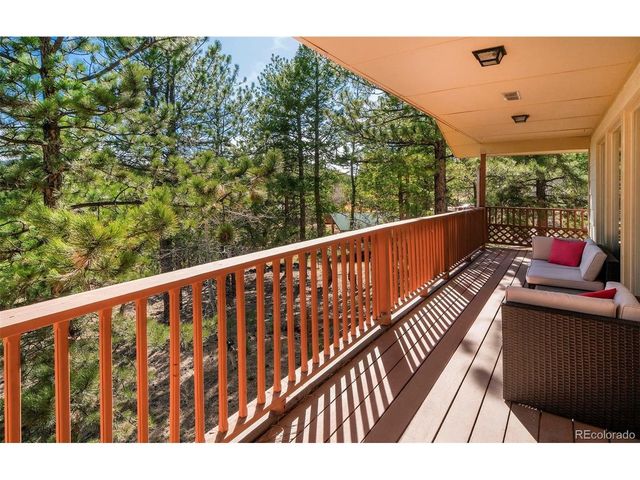 11744 S Stallion Dr, Pine, CO 80470