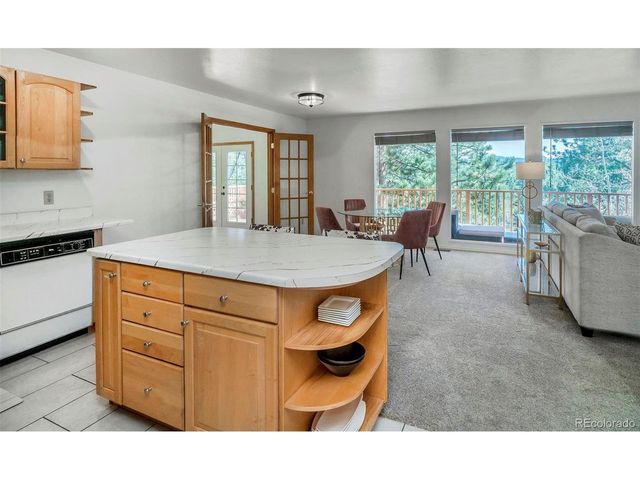 11744 S Stallion Dr, Pine, CO 80470