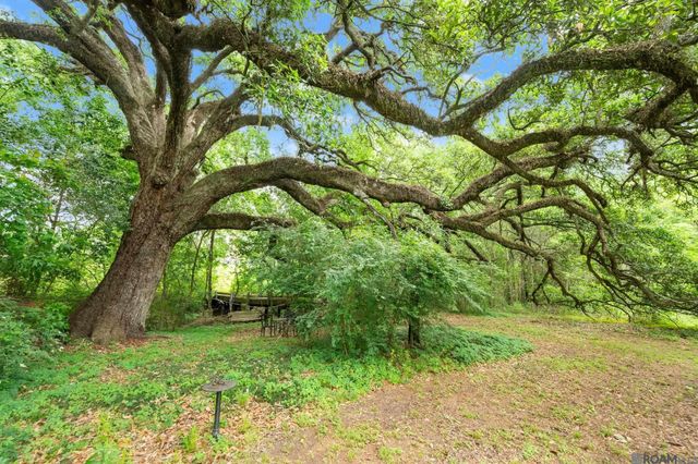 8251 Valencia Ct, Baton Rouge, LA 70820