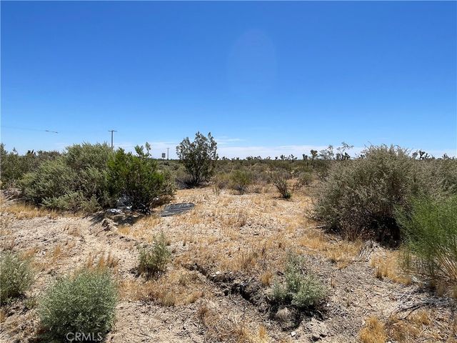 0 213th, Llano, CA 93544