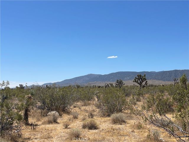 0 213th, Llano, CA 93544
