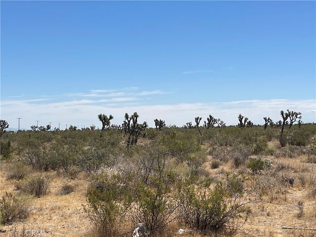 0 213th, Llano, CA 93544