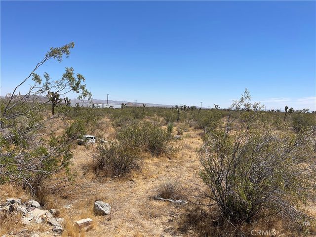 0 213th, Llano, CA 93544