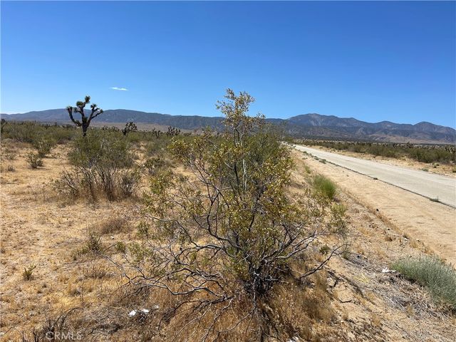 0 213th, Llano, CA 93544
