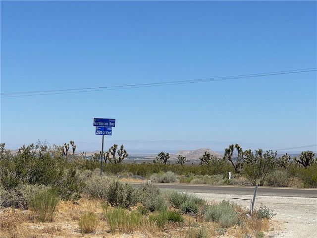 0 213th, Llano, CA 93544