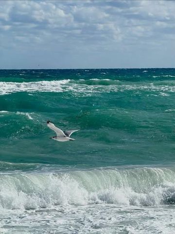 722 Ocean Dunes Circle, Jupiter, FL 33477