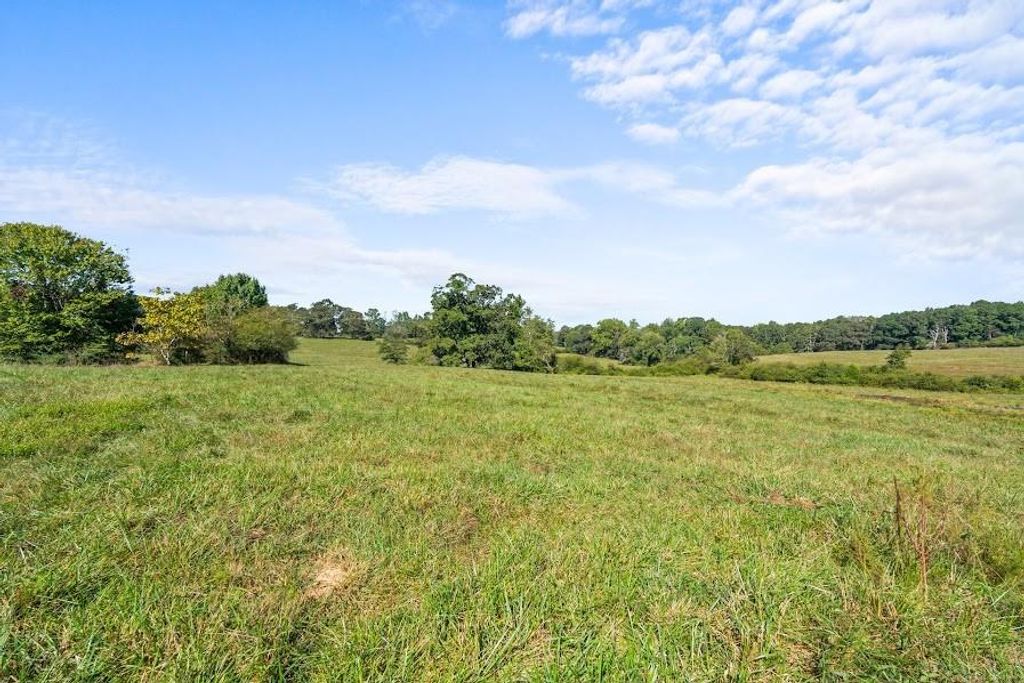 Image 27 of property listing at 880 Burwell Mount Zion Road, Carrollton, GA 30117