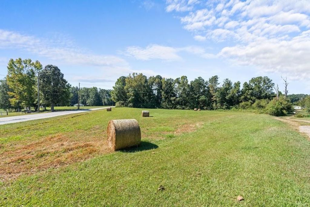 Image 8 of property listing at 880 Burwell Mount Zion Road, Carrollton, GA 30117