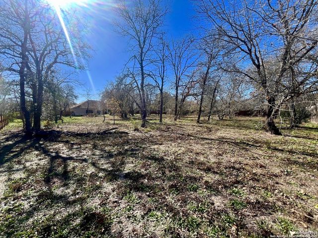 438 Rosewood Dr, La Vernia, TX 78121