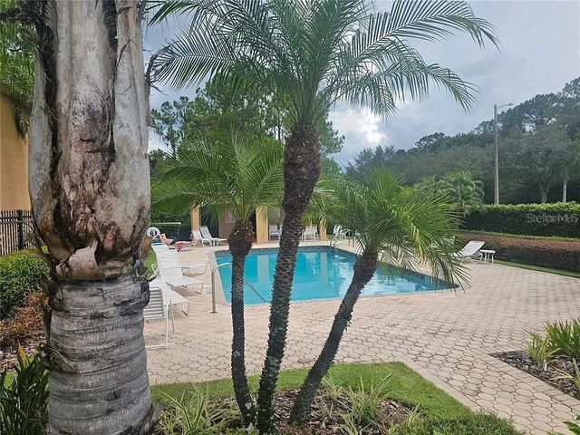 16304 PARKSTONE PALMS COURT, Tampa, FL 33647