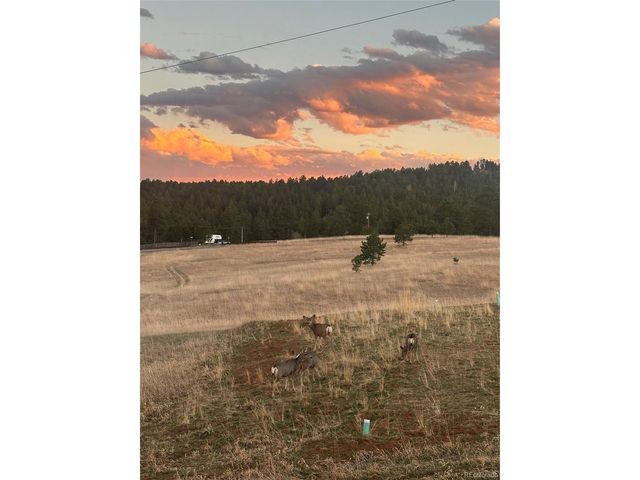 6832 S Valley Dr, Morrison, CO 80465