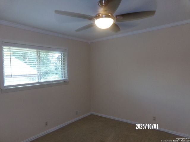 615 Amistad Blvd, Universal City, TX 78148