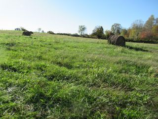 3532 Hwy 461 Tract 2, Somerset, KY 42503