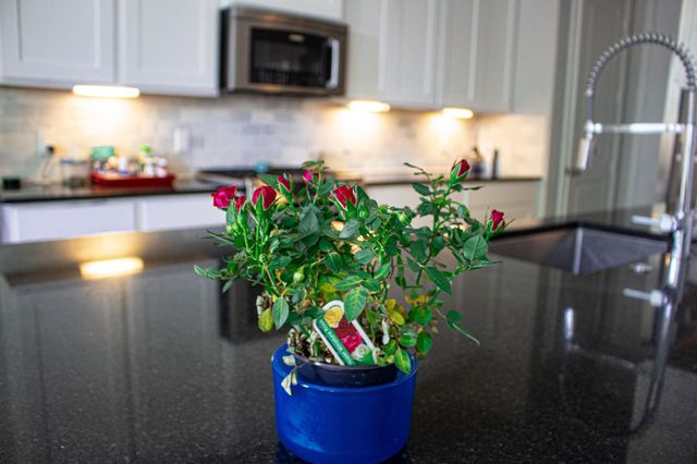 206 Fulton Station Drive, Houston, TX 77009