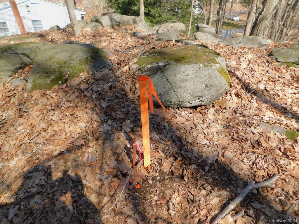 lots 16 & 19 Washington Street, Cortlandt Manor, NY 10567 — photo 5