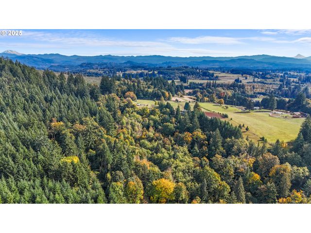 39812 Ne 94TH Ave, La Center, WA 98629