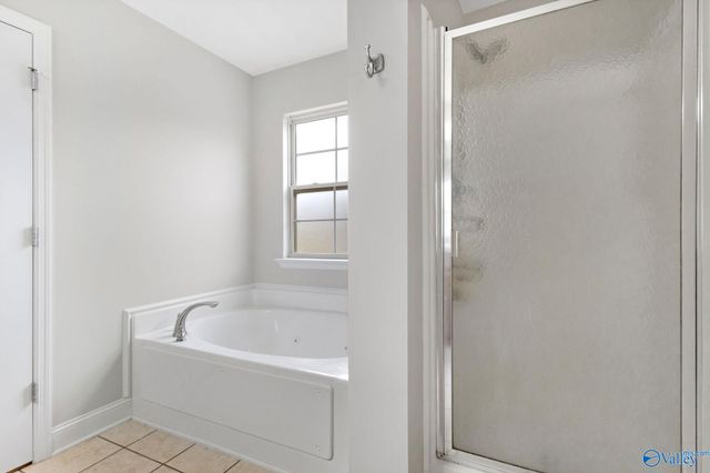 193 Amsterdam Place, Madison, AL 35758