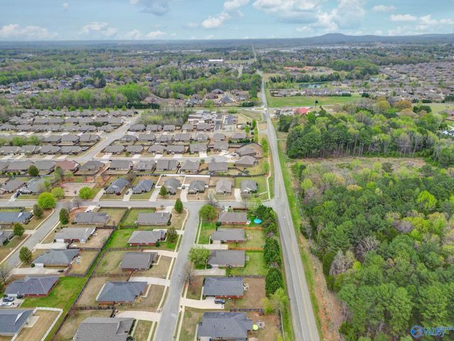 193 Amsterdam Place, Madison, AL 35758