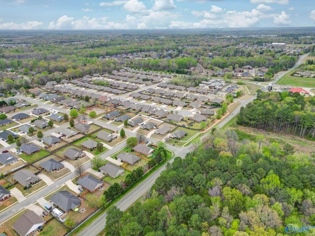 193 Amsterdam Place, Madison, AL 35758