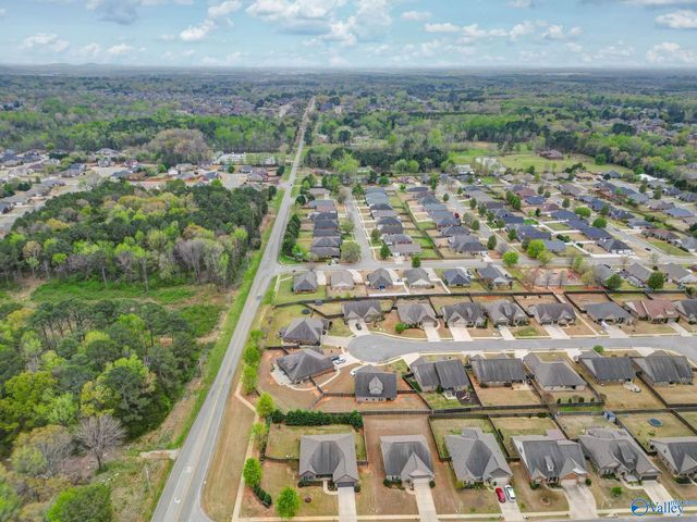 193 Amsterdam Place, Madison, AL 35758