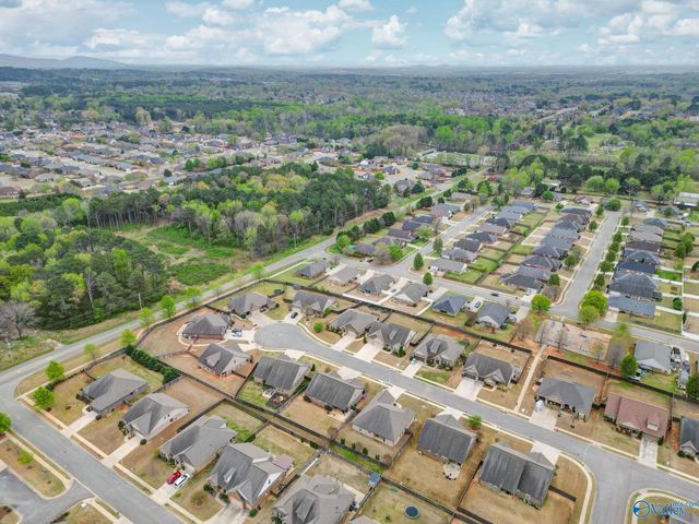 193 Amsterdam Place, Madison, AL 35758