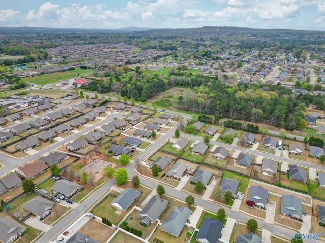 193 Amsterdam Place, Madison, AL 35758