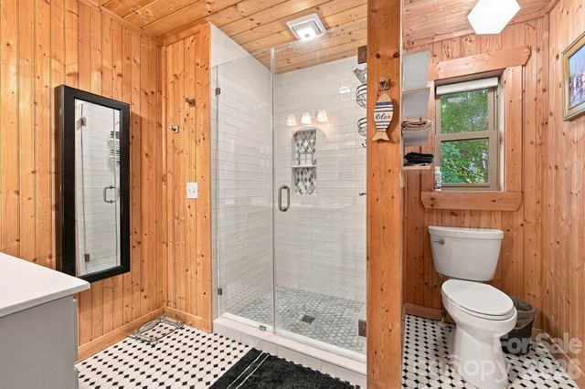 132 Falls View Trail, Lake Lure, NC 28746