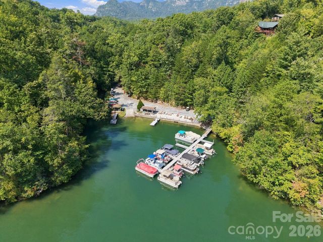132 Falls View Trail, Lake Lure, NC 28746