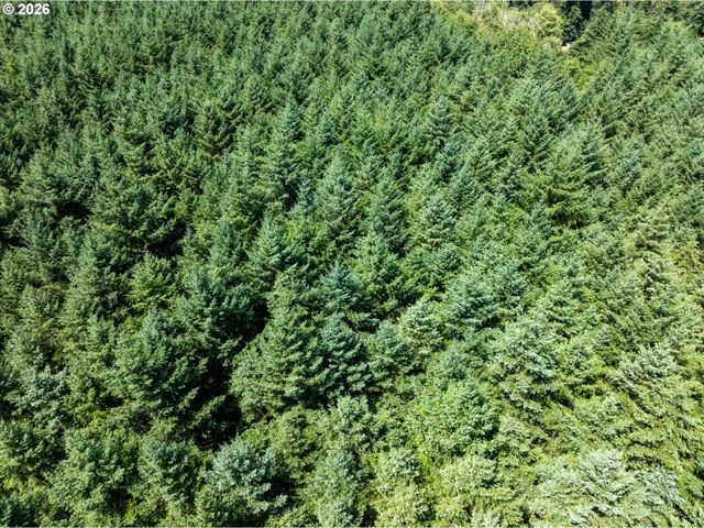 2511 S PARKWAY Ave, Battle Ground, WA 98604